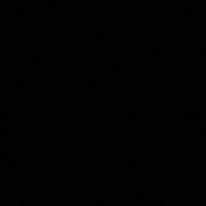 Meet your Posher, Jasmin